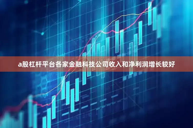 a股杠杆平台各家金融科技公司收入和净利润增长较好