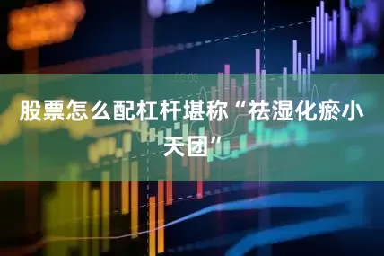 股票怎么配杠杆堪称“祛湿化瘀小天团”